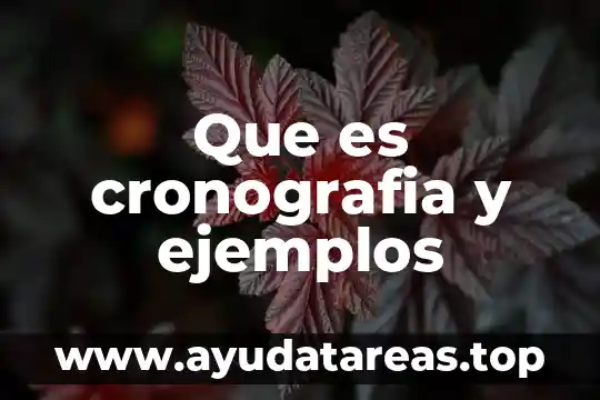 Qué es la navegador y su concepto 3 Que es cronografia y ejemplos