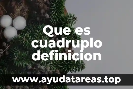 Que es cuadruplo definicion