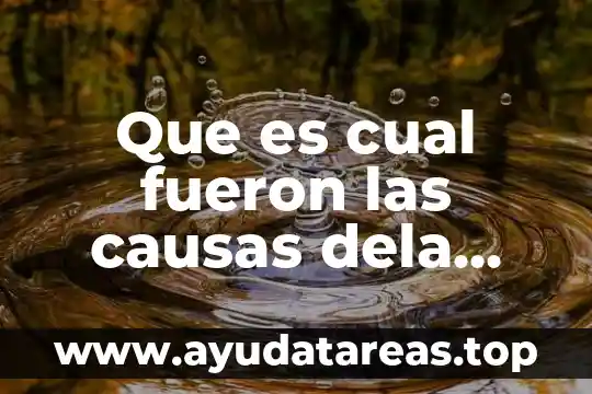 Que es cual fueron las causas dela revolución francesa