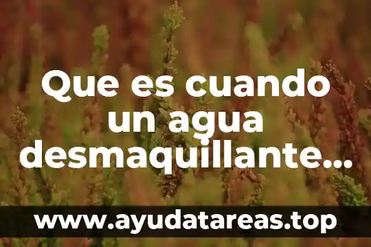 Que es cuando un agua desmaquillante matifica