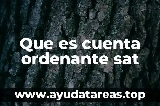 Que es cuenta ordenante sat