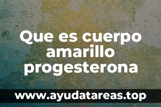 Que es el volumen en el cuerpo 3 Que es cuerpo amarillo progesterona