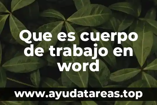 Que es nombre word 5 Que es cuerpo de trabajo en word