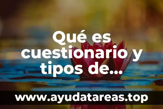 Que es un personaje y sus tipos 5 Qué es cuestionario y tipos de cuestionario