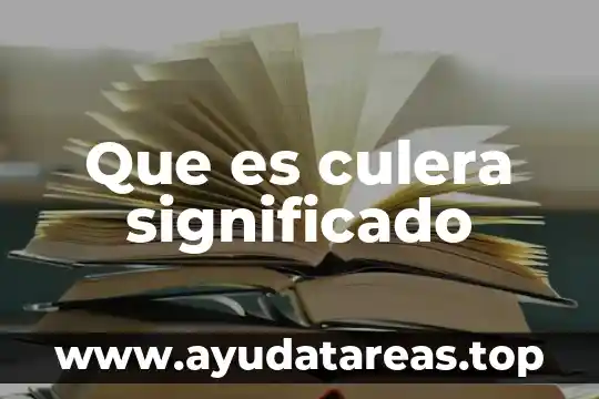 Que es un tratamiento integral e interno 8 Que es culera significado