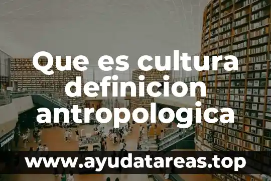 Que es cultura definicion antropologica