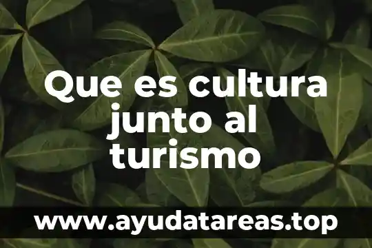Que es el turismo animal 5 Que es cultura junto al turismo