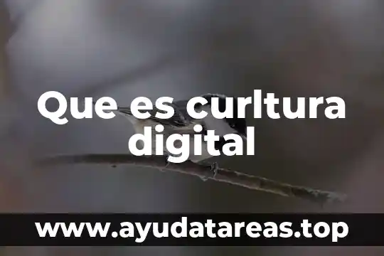 Formulario digital que es 6 Que es curltura digital
