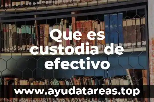 Qué es cadena de custodia definición 4 Que es custodia de efectivo