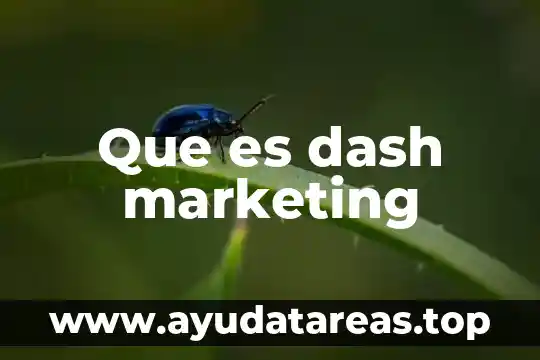 ¿Qué es el network marketing Charles King? 8 Que es dash marketing