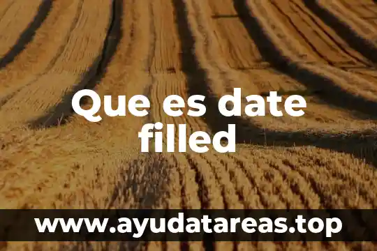 Que es el importe compuesto 8 Que es date filled