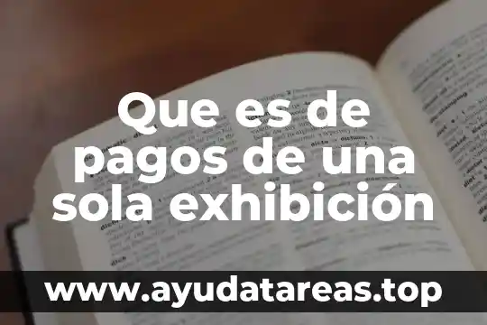 Que es de pagos de una sola exhibición