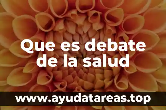 Que es debate de la salud