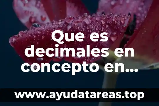Que es decimales en concepto en una factura