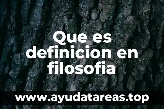 Que es definicion en filosofia