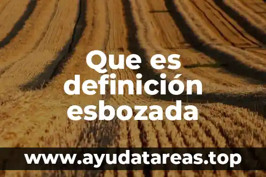 Que es niño y niña definición 3 Que es definición esbozada