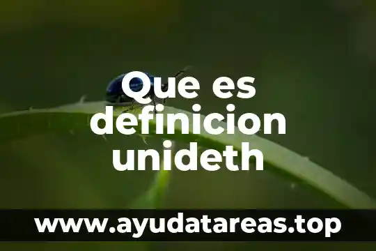 Que es definicion unideth