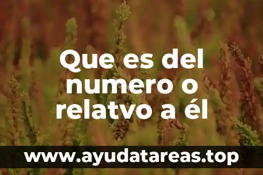 Qué es un número opatr 3 Que es del numero o relatvo a él