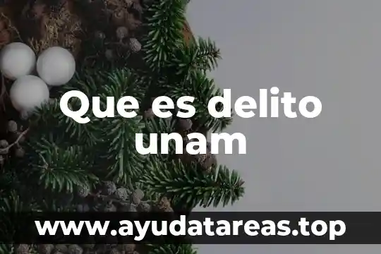 Que es delito unam