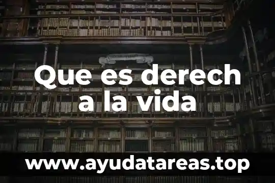 Que es vida animal 8 Que es derech a la vida