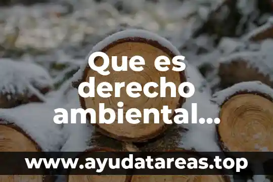 Que es derecho ambiental unam