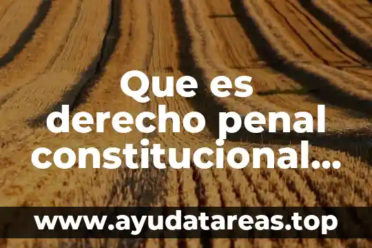 Que es el decho procesal civil segun castrillon y luna 4 Que es derecho penal constitucional administrativpo internacional y procesal
