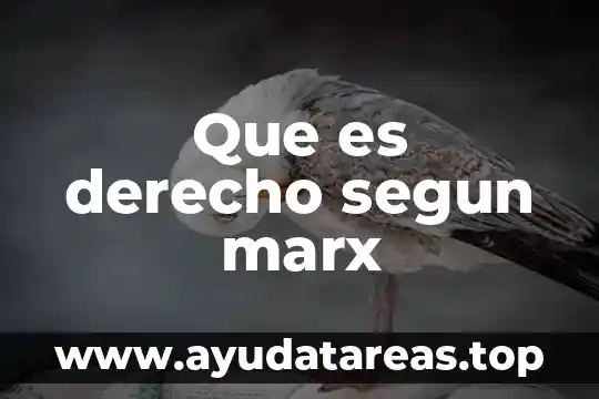 Que es derecho segun marx