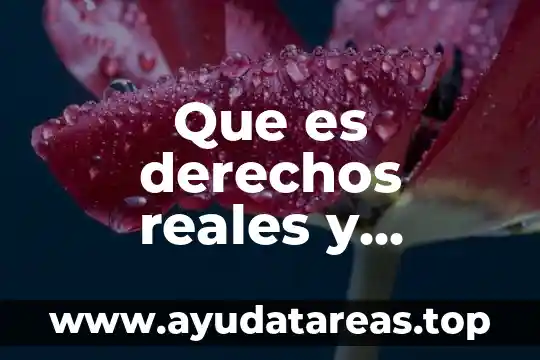 Que es derechos reales y caracteristicas