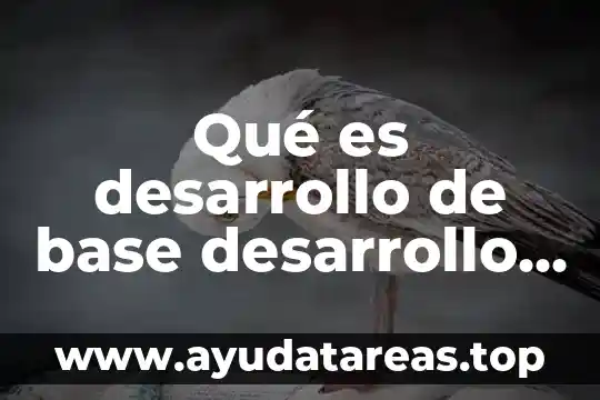 Qué es el distrito local significado 4 Qué es desarrollo de base desarrollo local