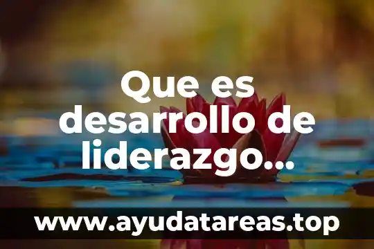 Que es desarrollo de liderazgo sustentable en un proyecto