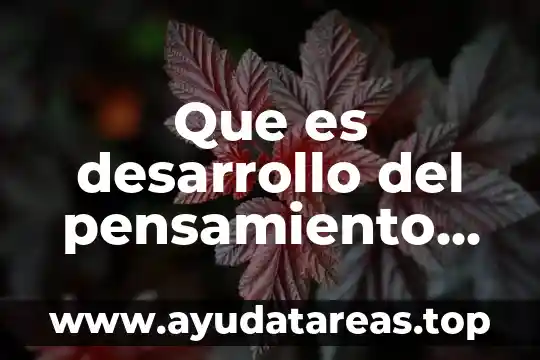Que es desarrollo del pensamiento segun autores