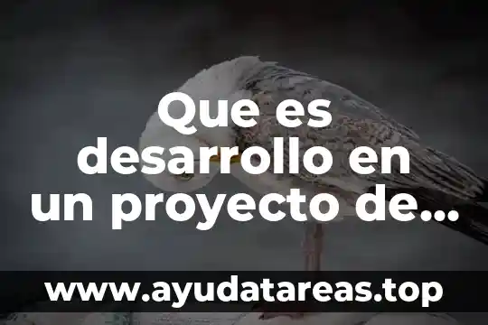 Que es desarrollo en un proyecto de informatica