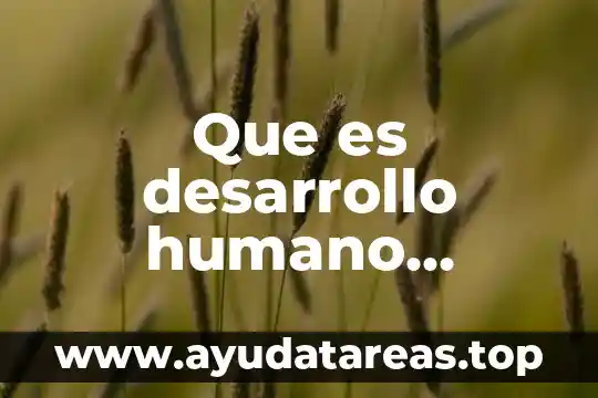 Que es un ser humano que tipo de pregunta es 6 Que es desarrollo humano organizacional