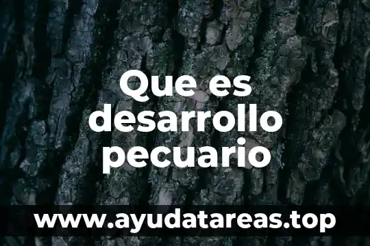 Que es una megatendencia desarrollo sustentable 4 Que es desarrollo pecuario