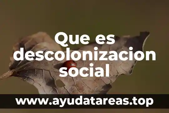 Que es descolonizacion social