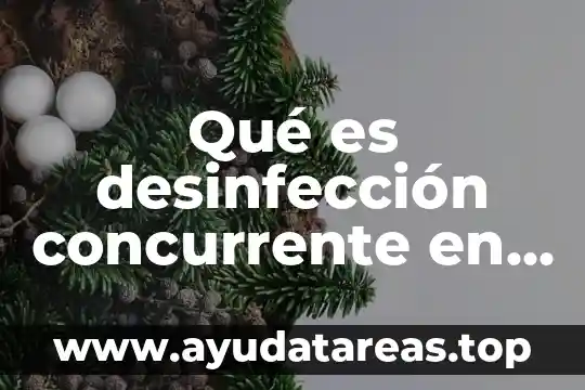 Que es la axiología en enfermeria 3 Qué es desinfección concurrente en enfermería