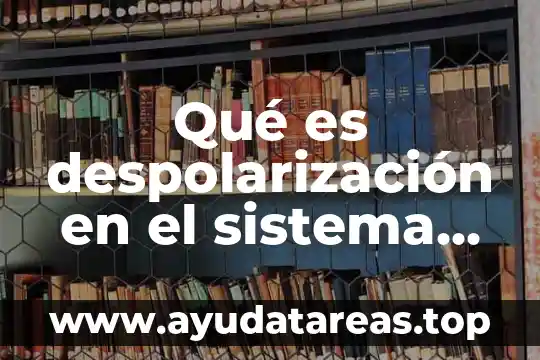Sistema nervioso central que es el ciclo circadiano 6 Qué es despolarización en el sistema nervioso