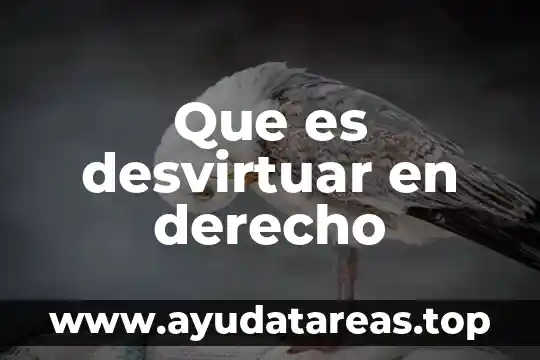 Que es desvirtuar en derecho
