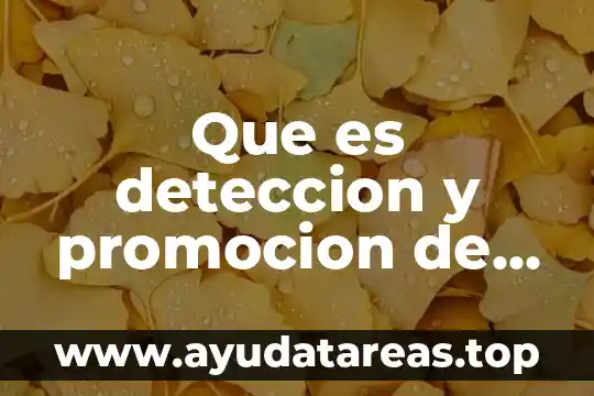 Que es deteccion y promocion de obra
