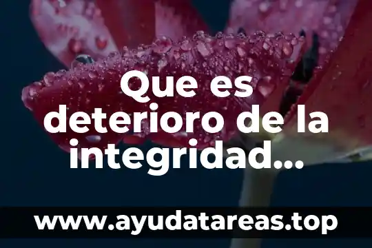 Qué es principio de integridad 7 Que es deterioro de la integridad tisular