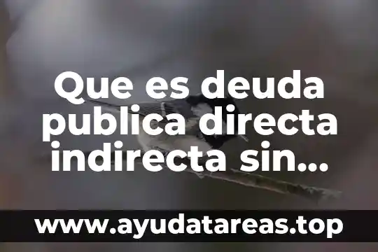 Que es deuda publica directa indirecta sin aval