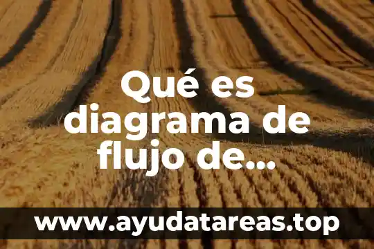 Qué es diagrama de flujo de programación