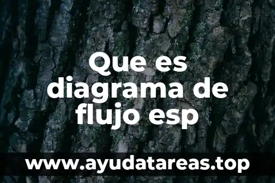 Que es un reductor de flujo de agua 3 Que es diagrama de flujo esp