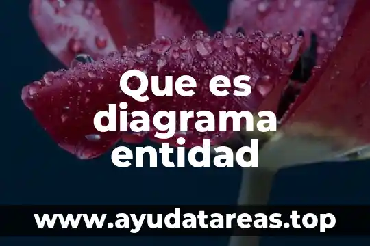 Que es diagrama entidad