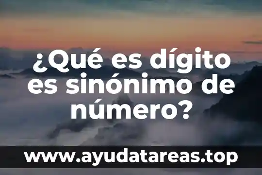 Que es rx digito palmar 5 ¿Qué es dígito es sinónimo de número?