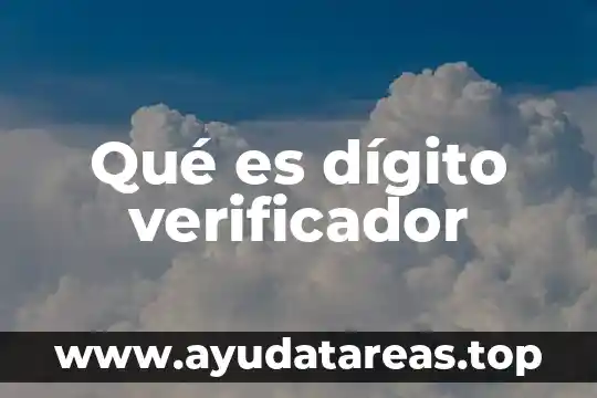 ¿Qué es dígito es sinónimo de número? 3 Qué es dígito verificador