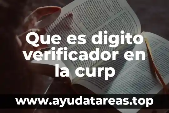 Que es codigo de verificacion para sacar curp 3 Que es digito verificador en la curp
