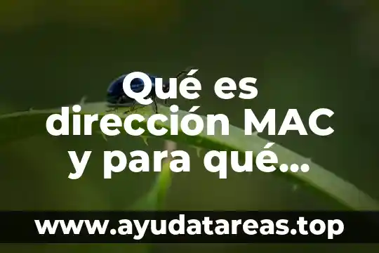 Qué es dirección MAC y para qué sirve