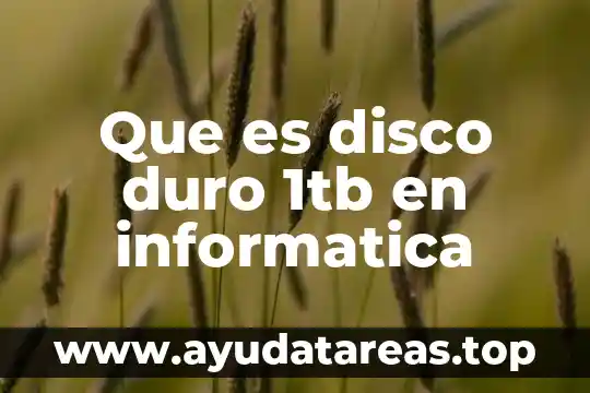 Que es stp en informatica 5 Que es disco duro 1tb en informatica
