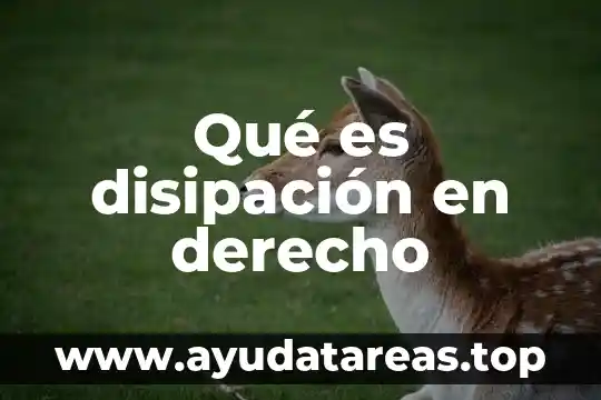 Que es verosimilitud del derecho invocado 5 Qué es disipación en derecho
